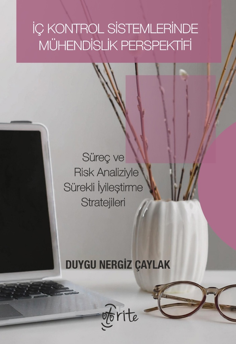 İç Kontrol Sistemlerinde Mühendislik Perspektif