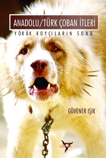 Anadolu/Türk Çoban İtleri: Yörük Koyçıların Sonu